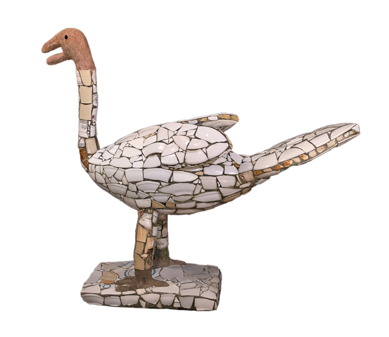 Charles, le cycgne de Chandighar