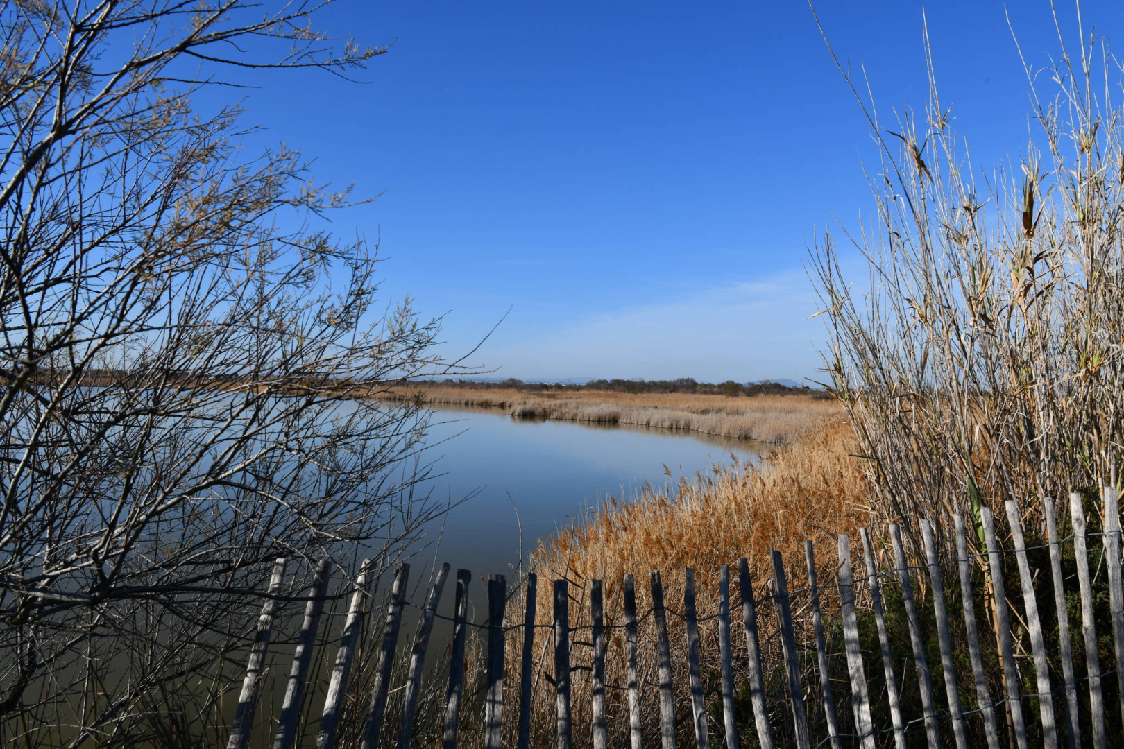 Etang du Mejean
