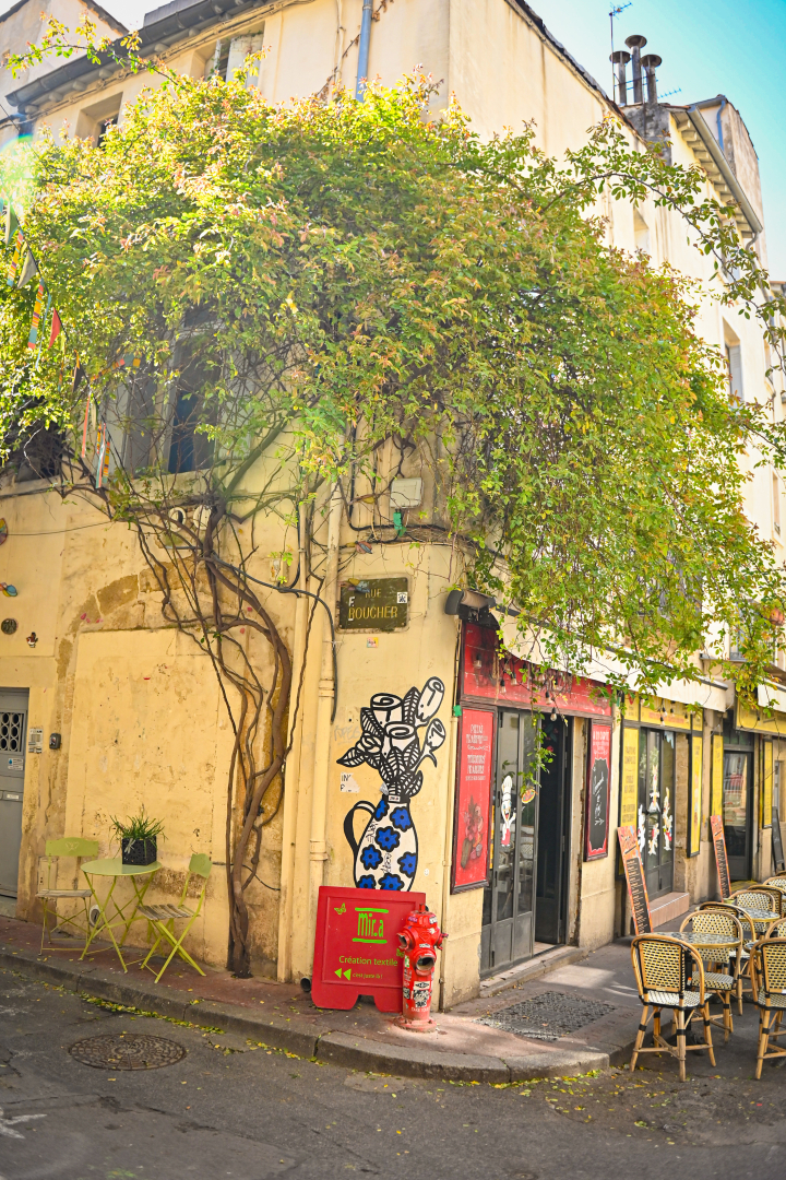 coin de la rue Roucher, façades, végétation grimpante, terrasse de café