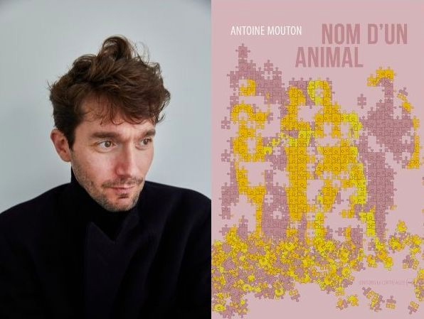 Stéphane Mouton