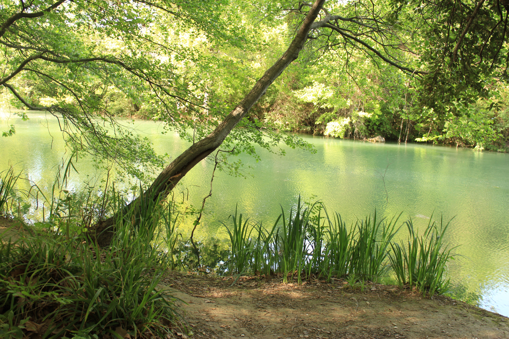 Berges du Lez