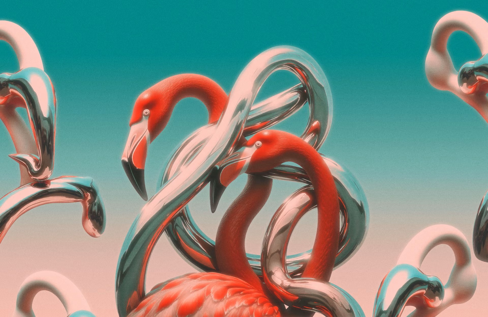 les flamants roses de l'affiche de family piknik