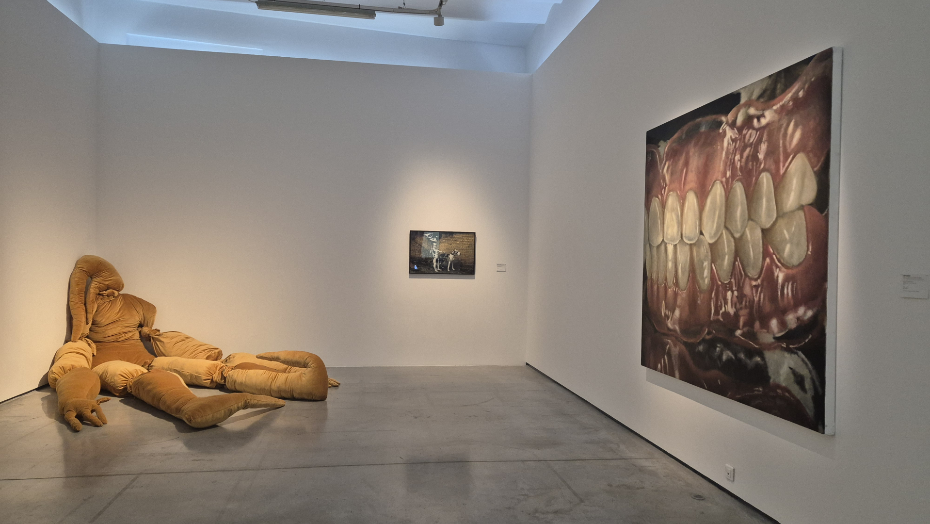 des oeuvres dans l'exposition À fleur de peau 