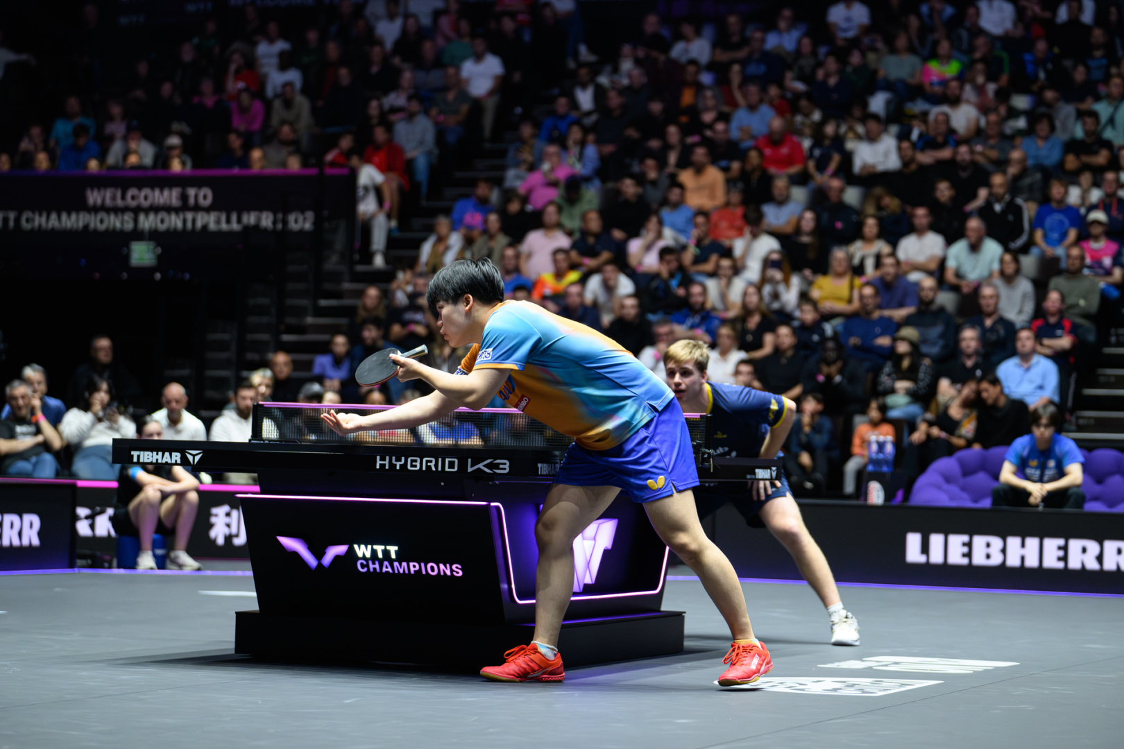 Mooregard et Matsushima finale WTT 2025