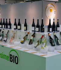 les vins en compétition