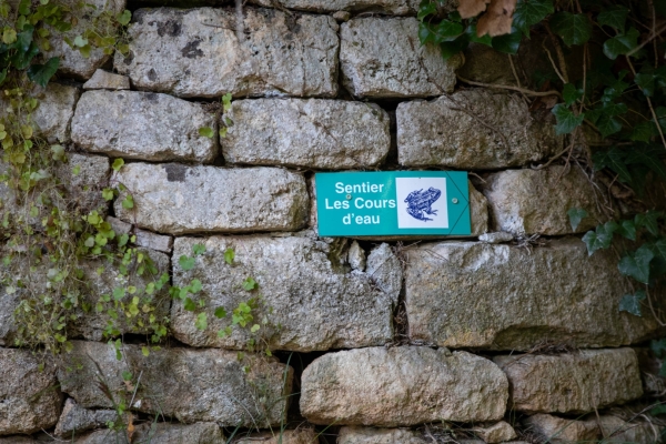 Des flèches turquoises tout au long du sentier pour se repérer