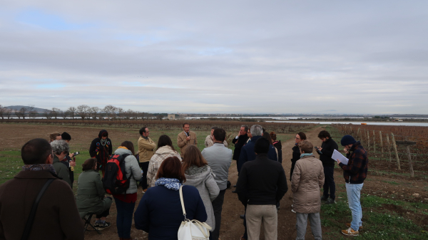 visite à Maguelone