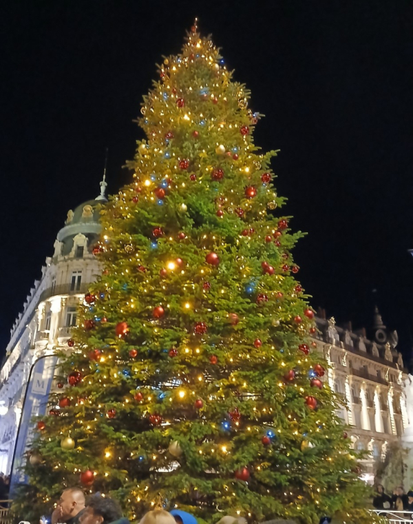 sapin
