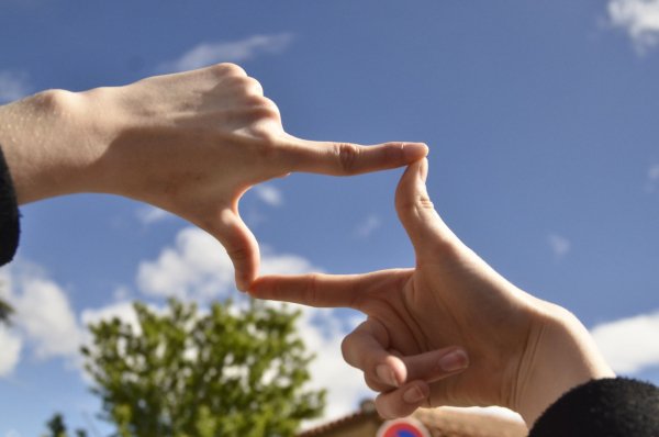 S.Papillon