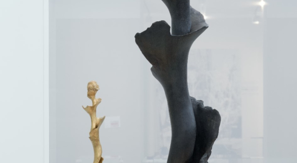 Photo de la sculpture La Spirale de Germaine Richier au Mus&eacute;e Fabre